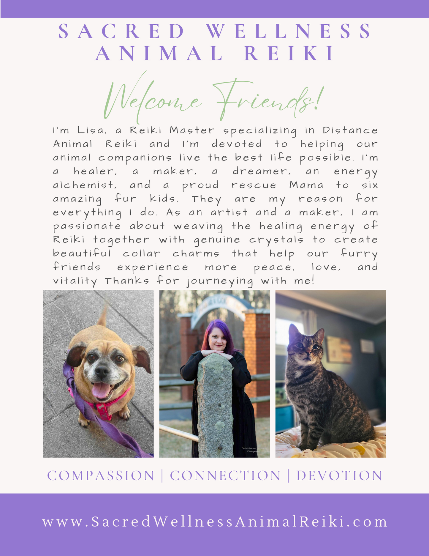 Pet Collar Charms | Reiki Infused