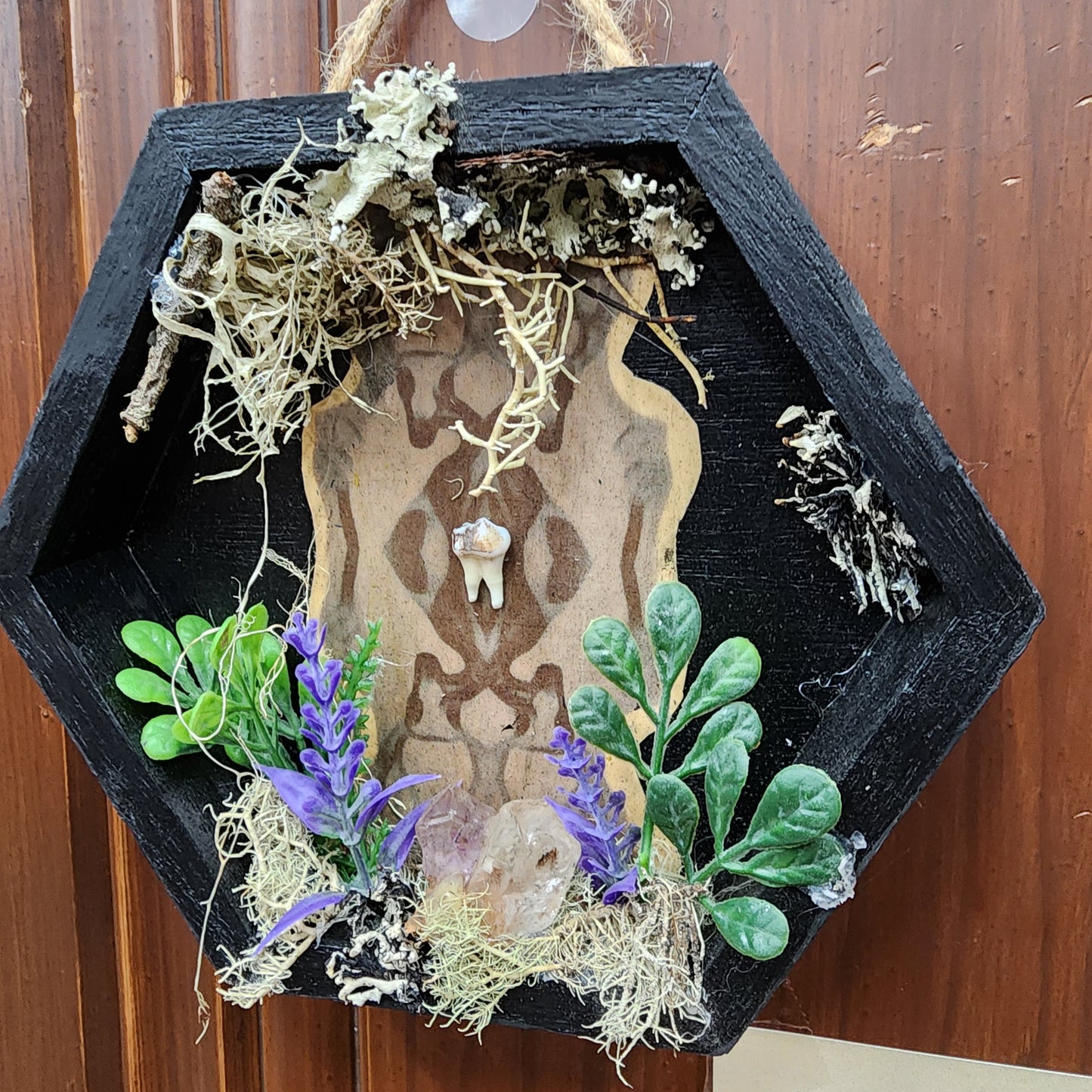 Shadow Box Wall Hangings