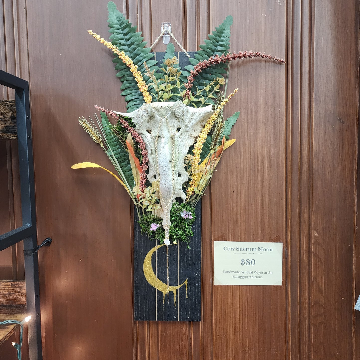 Cow Sacrum Moon Wall Hang