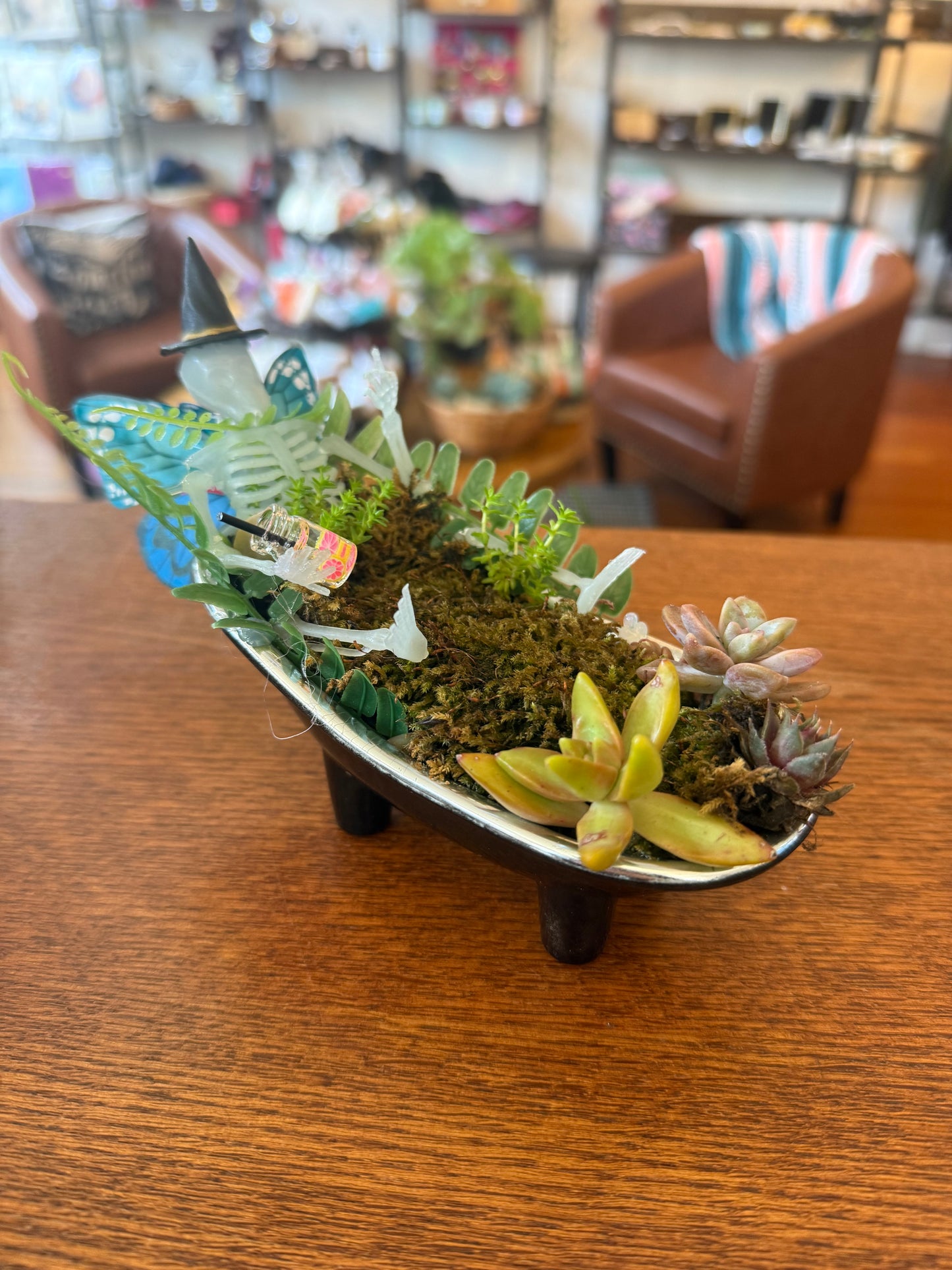 Dead Fairy in Bathtub Plant-Gypsy