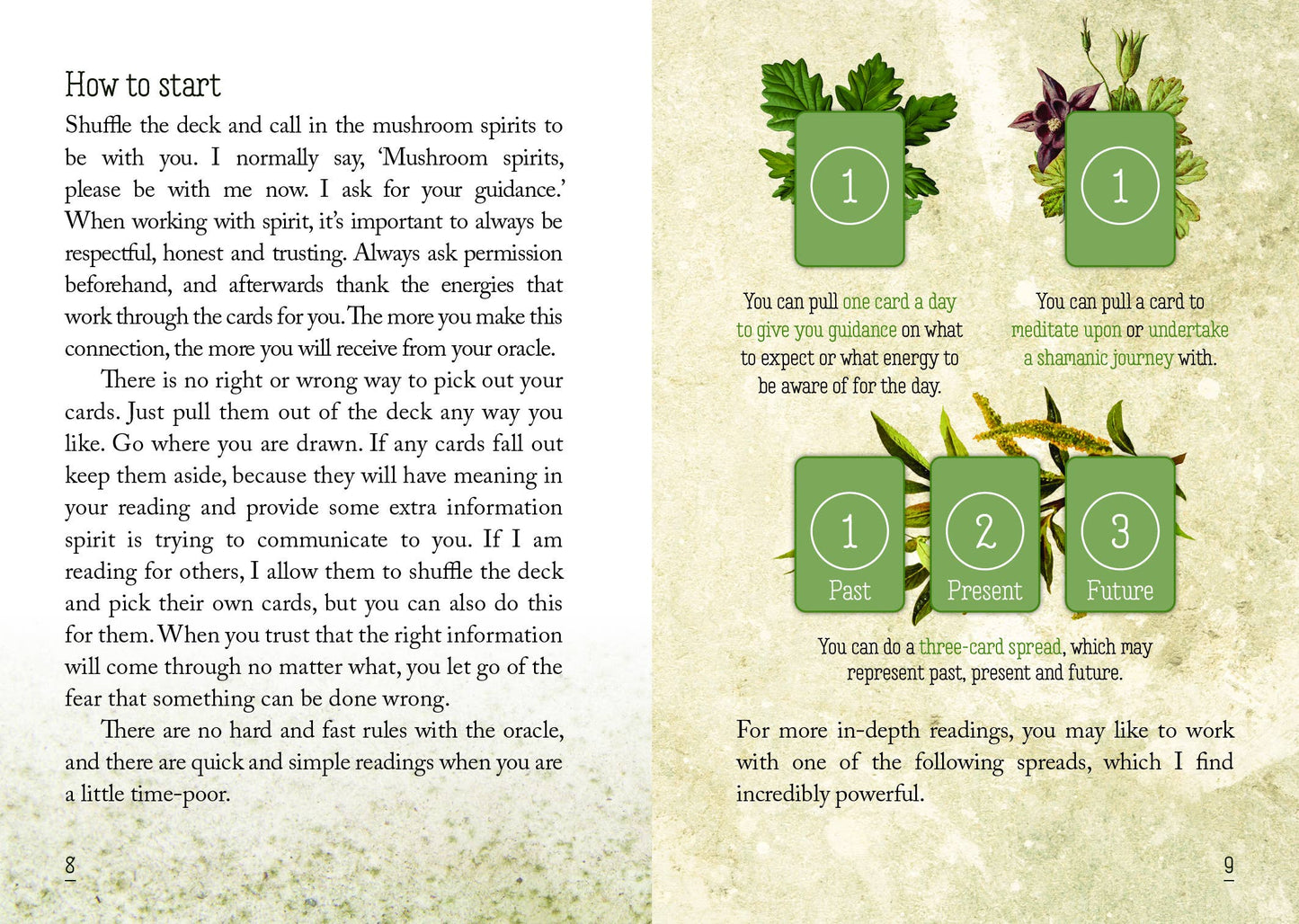 Mushroom Spirit Oracle(36 Cards & 112-Page Book)