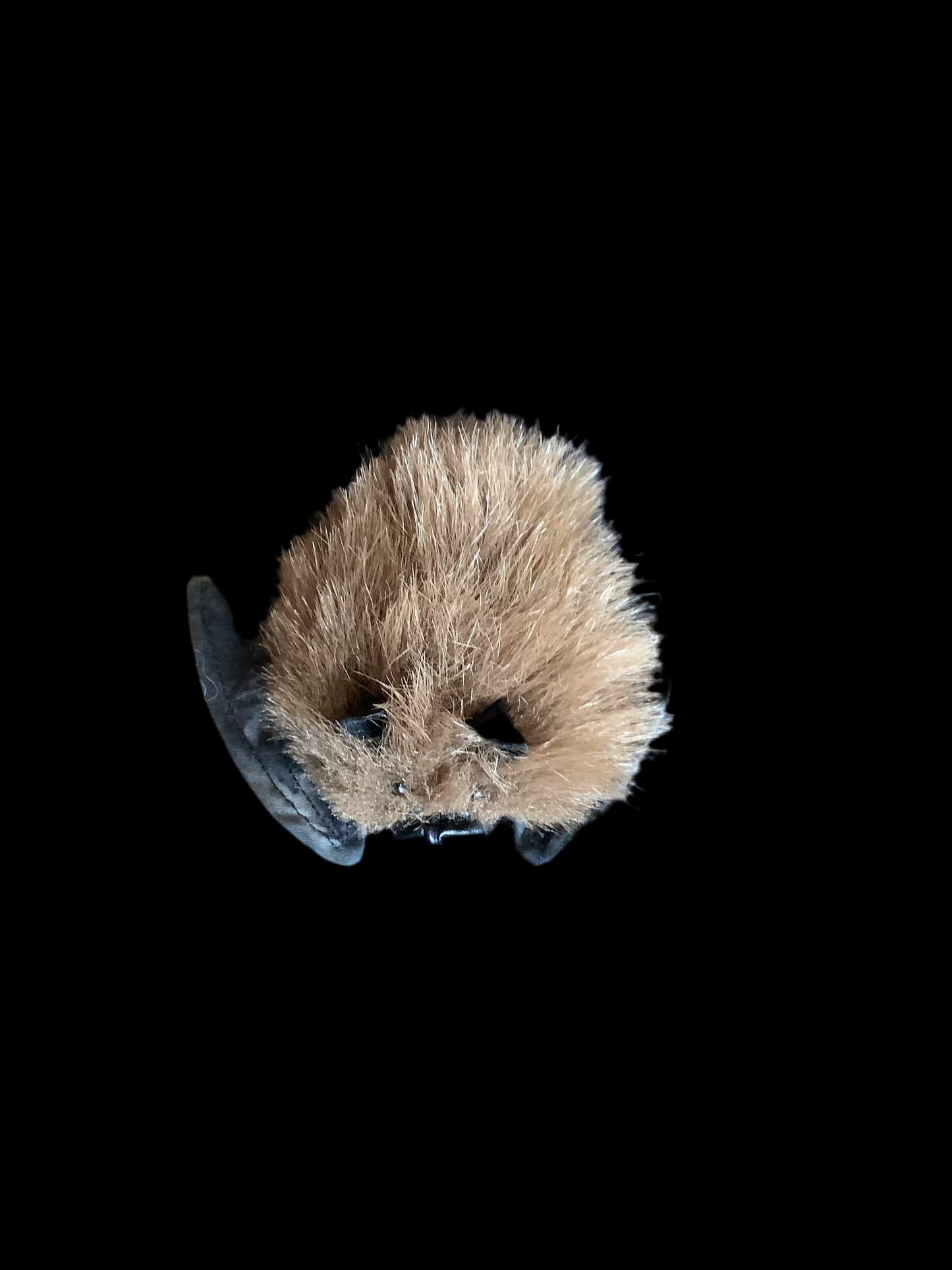 Bat pin