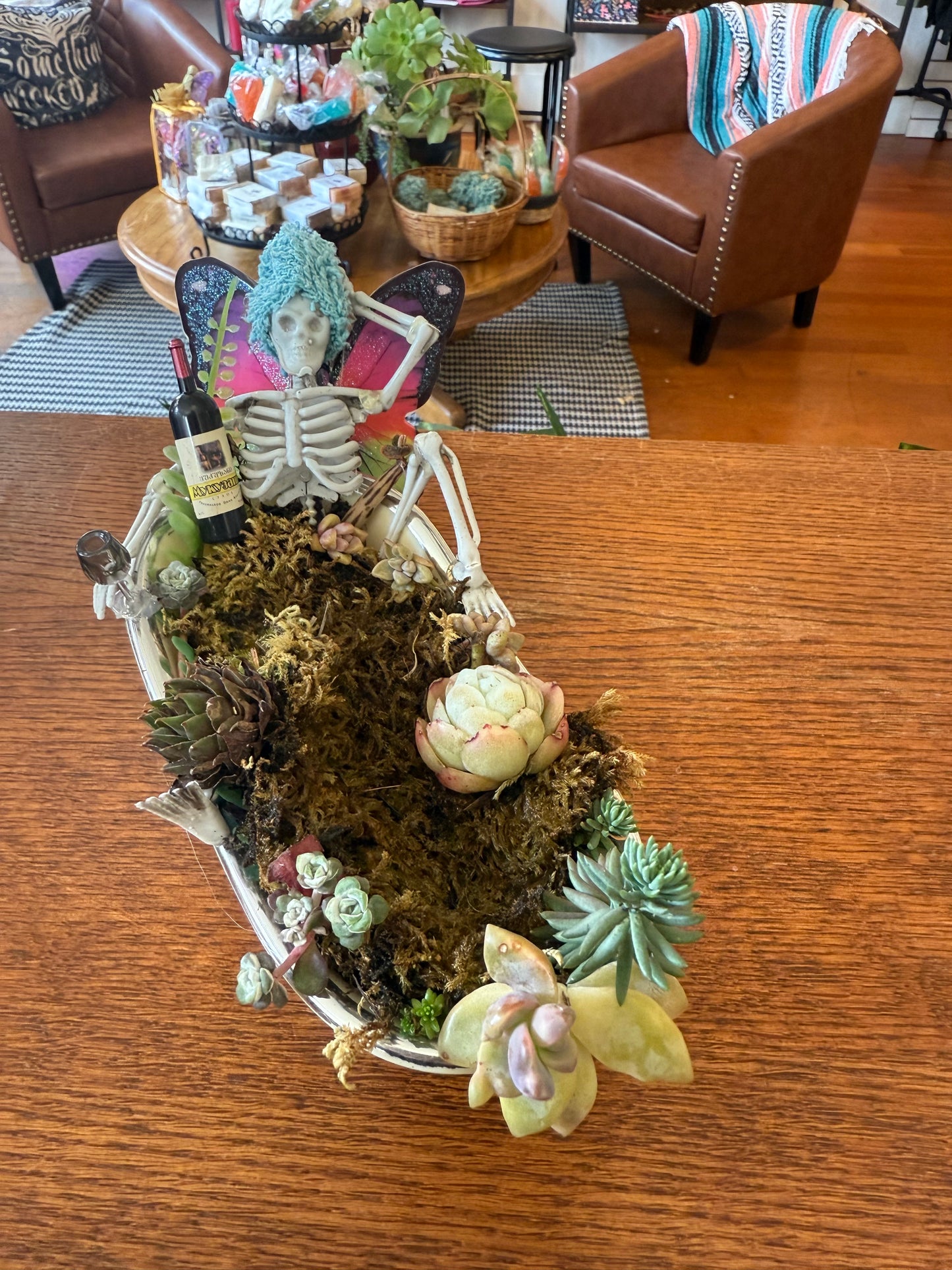 Dead Fairy in Bathtub Plant-Gypsy