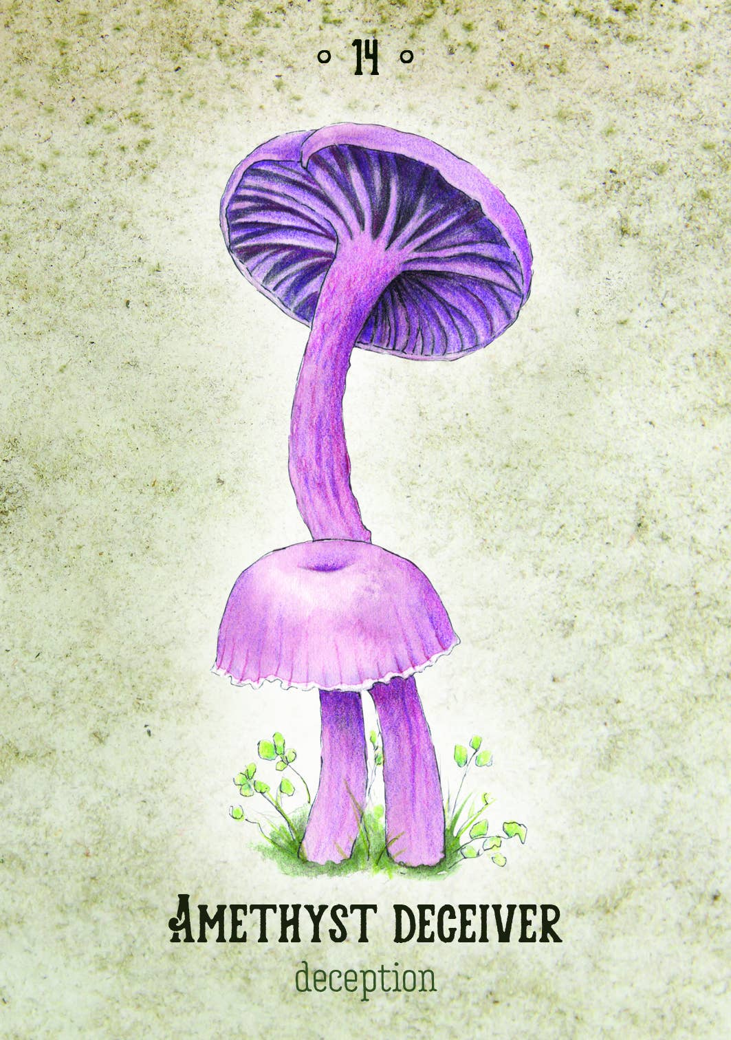 Mushroom Spirit Oracle(36 Cards & 112-Page Book)