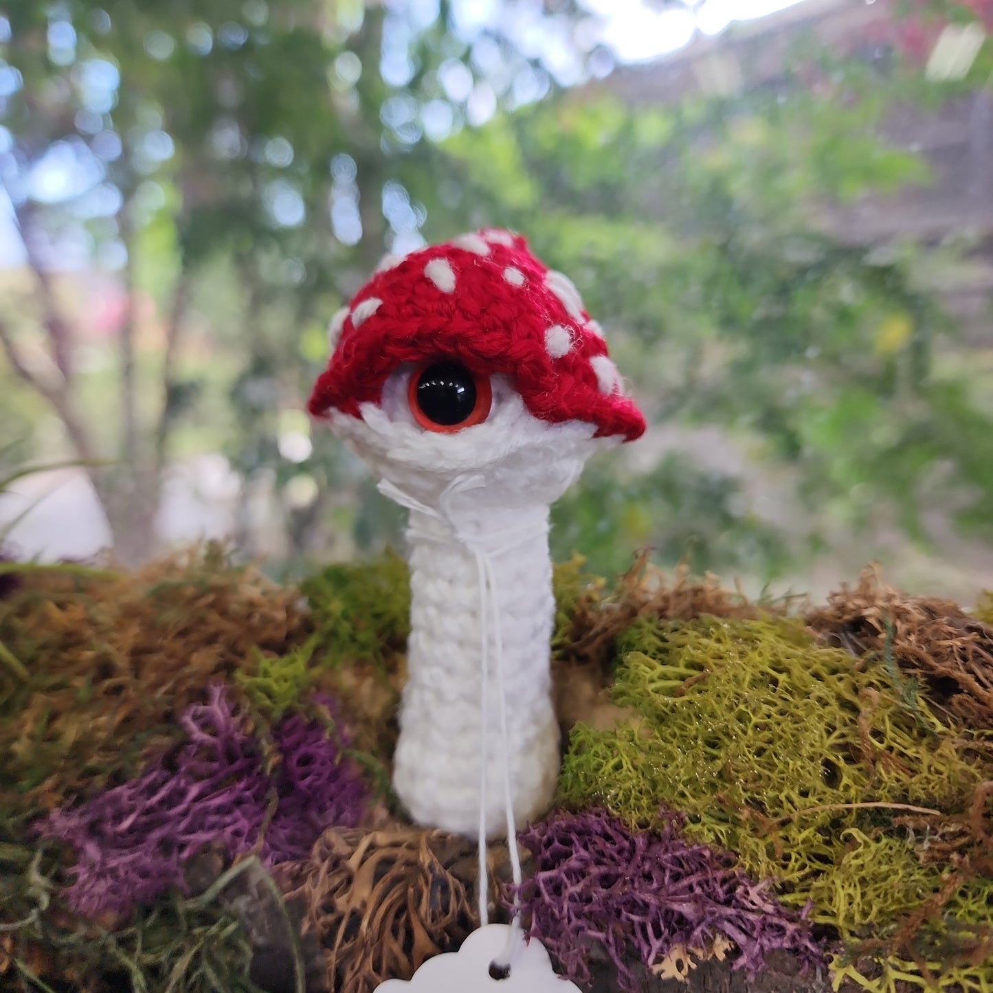 Crochet Mystical Mushrooms