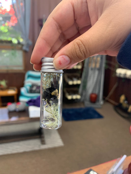 Mystic Eclipse Creations | Bee Specimen Jar | Oddities Art