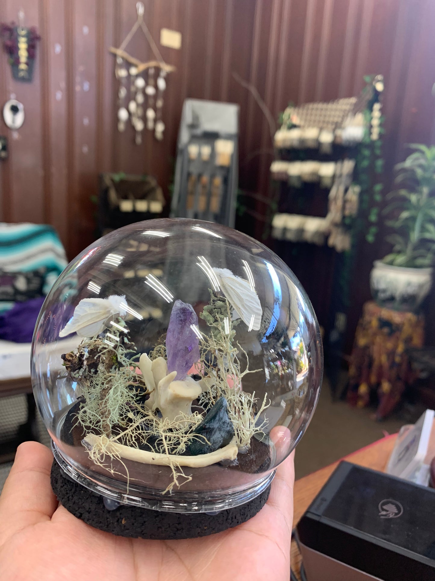 Mystic Eclipse Creations | Moth Specimen Globe | Oddities Art